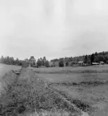 Stora Skedvi. Flyttjegården och Bergås. 1927.