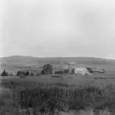 Stora Skedvi. Från Enålarna åt öster. Kvisselängs i Tyskbo närmast, Kvistaberget i bakgrunden. 1927.