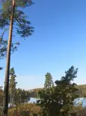 Vidbynäs