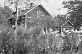 Bostadshus