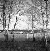 Utsikt mot Ransbergs prästgård