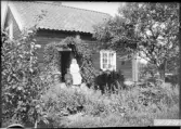 Familj framför stuga