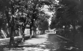 Vykort, 