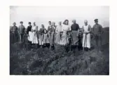 Skördearbete. Potatisplockning på Kristineberg, Lindberg. Fr v: Johan i Grönalund (Sjömannens), Bror från Kungsäter, Elin Söder, 