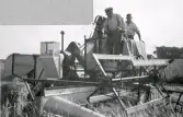 Skördearbete. Sex fotografier som visar tröskning med självbindare och traktor. Uppgifter i övrigt saknas. Tillhör samlingen med fotokopior från Hallands Nyheter som är från 1930-1940-talen.