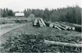 Dalskog, Skogen
