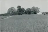 Dalskog. Ödegården Funnebo