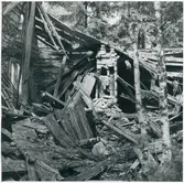Dalskog, Torpkasen