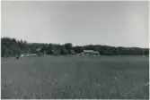 Dalskog. Myrevarv