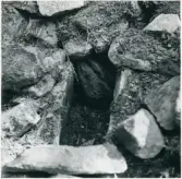 Dalskog