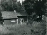 Dalskog, Amerika