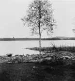 Garpbenberg. Dammsjön, smältarmossgruvans lave, kyrkan och Prästberget från Kaspersbo. 1929.