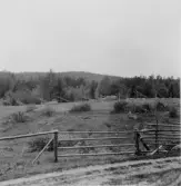 Garpenberg. Högtjärns klack från Bensåsens skola. 1919.