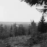 Grytnäs. Utsikt från åsen. 1930.