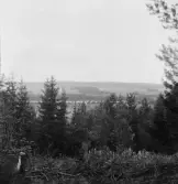 Grytnäs. Utsikt från åsen. 1930.