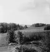 Grytnäs. Sör Nävde. Abrahamsbo i bakgrunden. 1930.