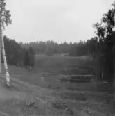 Grytnäs. Skogsbo. Mosse i åsgrop vid Brunnbäcksvägen mellan Skogsbo och 