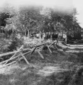 Grytnäs. Mästerbo. Gärdesgård vid Bengts. 1930.