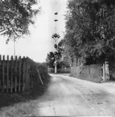 Leksand. Åkerö midsommarstång. 1918.