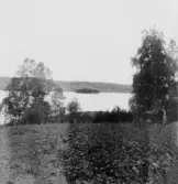 Garpenberg. Gruvsjön och Gruvgården från tomt efter riven gård i Hesshyttan. 1929.