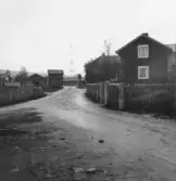 Leksand. Djura.