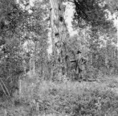 Leksand. Styrsjön, Hästberg eller Grytnäs?