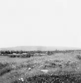 Leksand. Sörbygge i Rättvik från Norr Lindberg i Leksand. 1918.