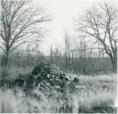 Dalskog, Repmyren