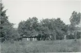 Dalskog. Köpegullet