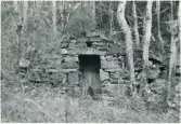 Dalskog. Smätte, torp under Kabbo. Källaren