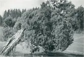 Gunnarsnäs