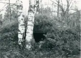 Dalskog. Kabbomossen – torp under Kabbo, källare