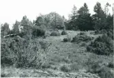 Kattorpet, soldatstom under Bodane