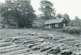 Spettviken, torp under Åsmule