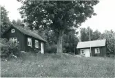 Grönebacke, torp under Åsmule