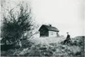 Nordlunnane