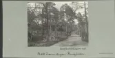 Skansen. Byggnader. Finngården. Pörtet Dammstugan.