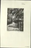 Skansen. Byggnader. Finngården. 