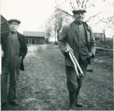 Ör, Åsmule. Bröderna Gustav och Fredrik Grund på väg till trösket
