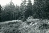 Vännalången, torp under Östra Blekan, Sundals Ryr