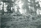 Järbo. 