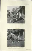 Skansen. Byggnader. Fäbodvallen. Invigning av fäbodvallen, Bondens dag 1938.