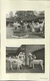 Skansen. Byggnader. Fäbodvallen. 
 Invigning av fäbodvallen, Bondens dag 1938.
