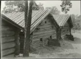 Skansen. Byggnader. Fäbodvallen. 