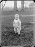 Liten gosse
