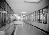 Hakonbolaget, Uppsala 1938