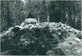 Järbo