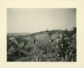 Vy över Altstadt Überlingen (gamla staden) från museiparken, Überlingen, Tyskland (enligt text i album).