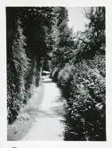 Från Oberer Stadspark i Überlingen, Tyskland (enligt text i album).