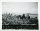 Utsikt från stadsparken i Überlingen, Tyskland (enligt text i album).